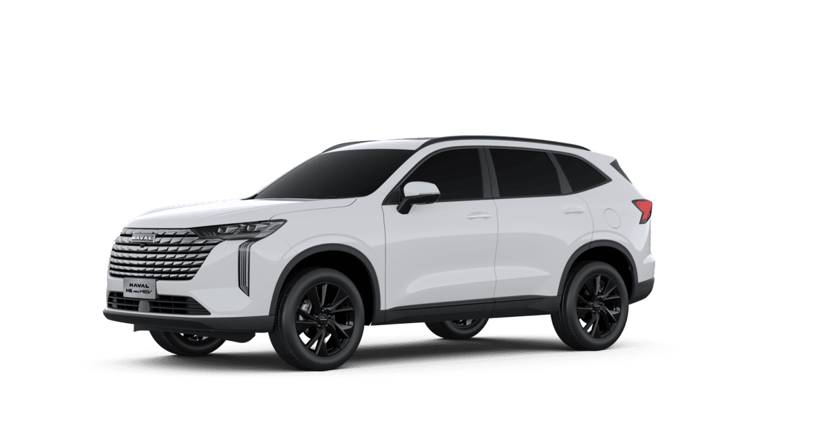 GWM model in Blanco