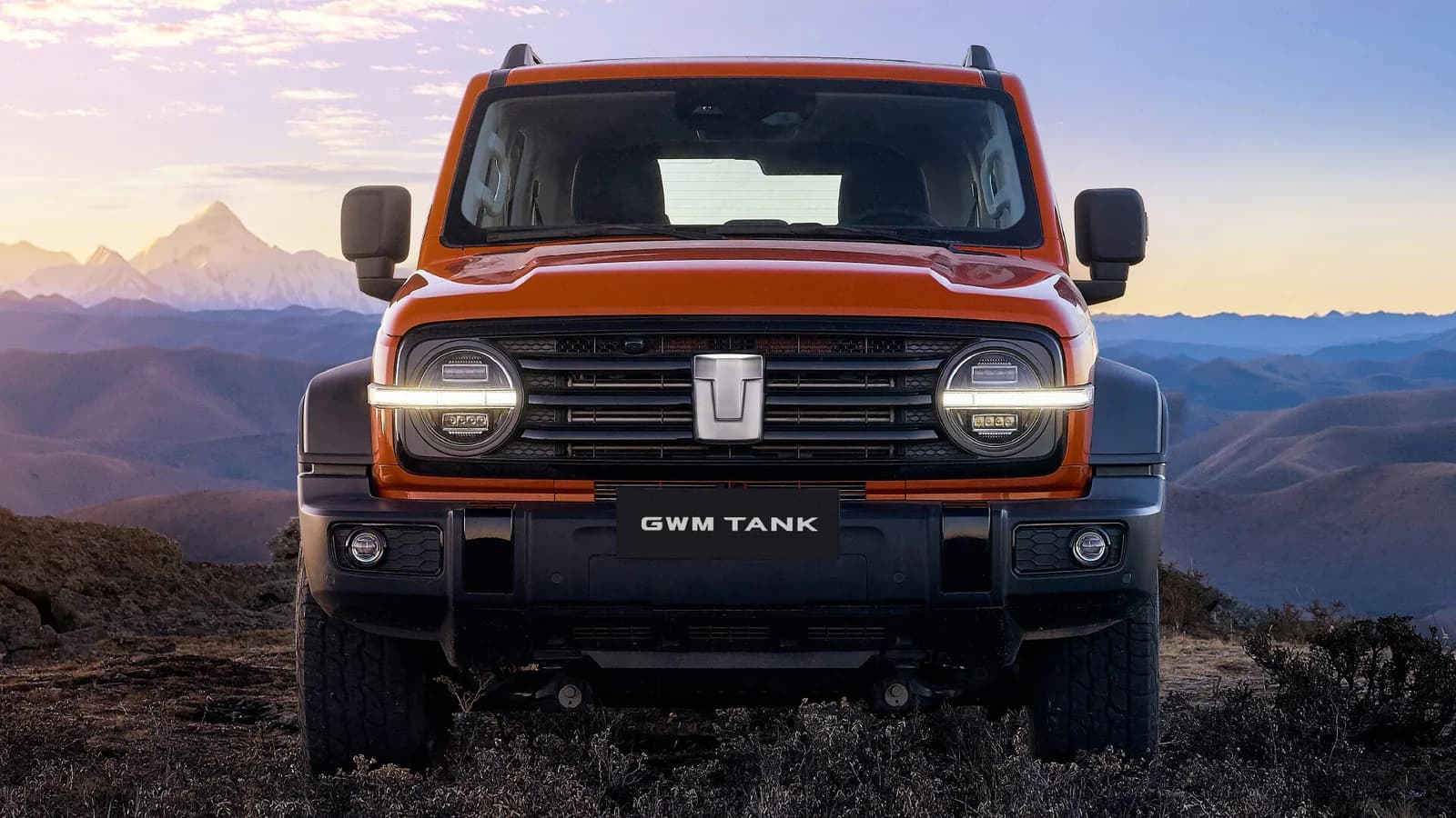 Galería Tank 300 6